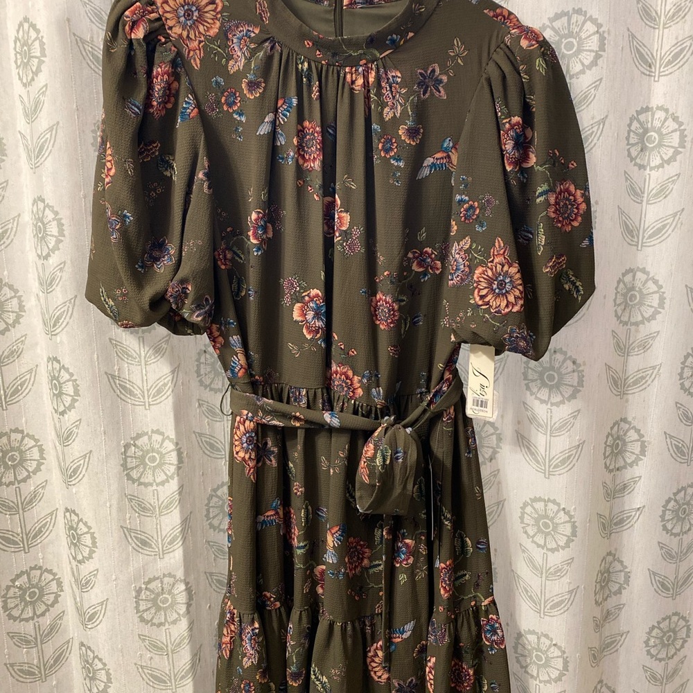Eliza J Floral Puff Sleeve Dress NWT Size 16